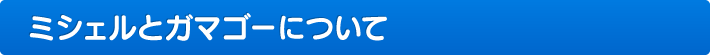 ミシェルとガマゴーについて