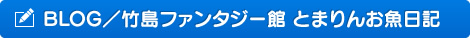 BLOG／竹島ファンタジー館 とまりんお魚日記