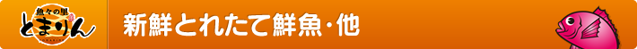 新鮮とれたて鮮魚・他